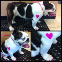 Tilly's pink heart