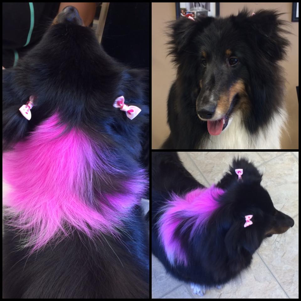 Maggie is all ready for Valentine's Day with a splash of pink color!