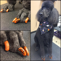 Sadie's sparkly orange Jack-o-Lantern nails!