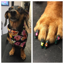 Ruby's flower nails