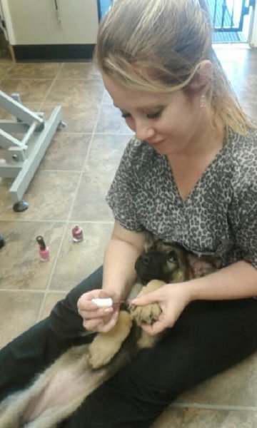 Nicole painting her puppy Denali's nails