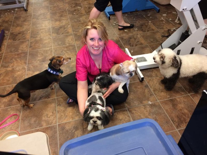 Nicole in her glory, surrounded by dogs!