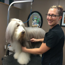 Trish grooming the Bearded Collie, Olive