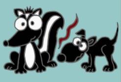 What to do if your dog gets sprayed by a skunk