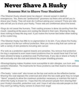 don't shave 5
